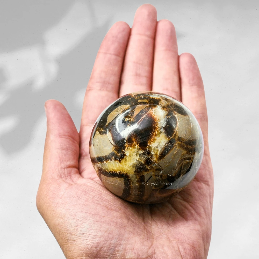 Large Septarian Sphere (2.5 Inch)