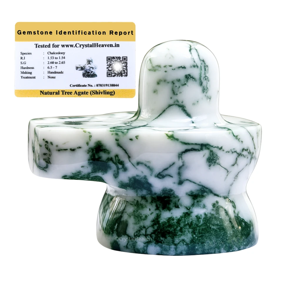 Tree Agate Shivling