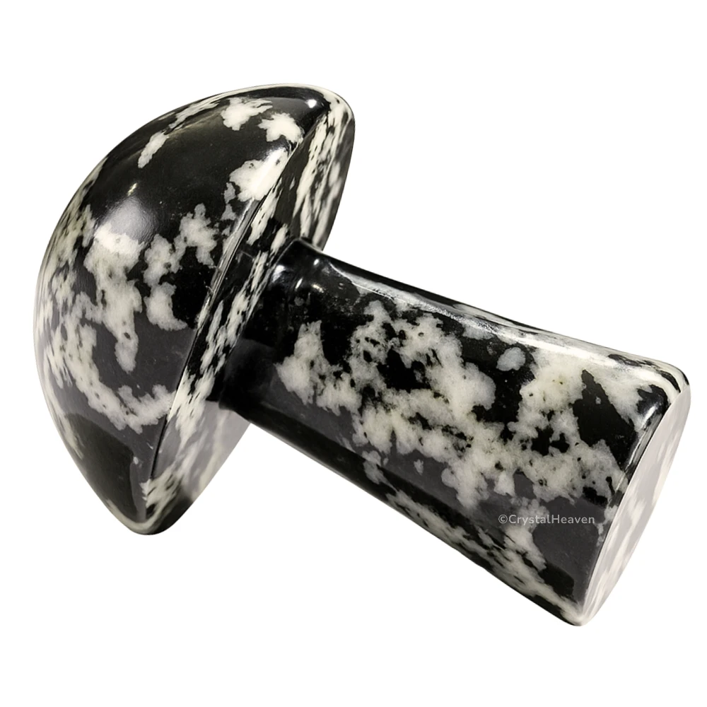 Black and White Tourmaline Mushroom