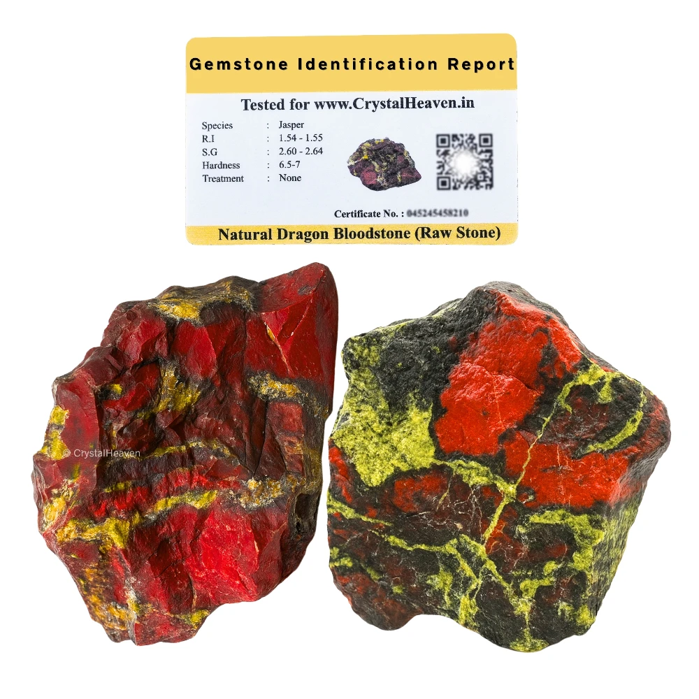 Raw Dragon Bloodstone Crystals (2 Pieces)