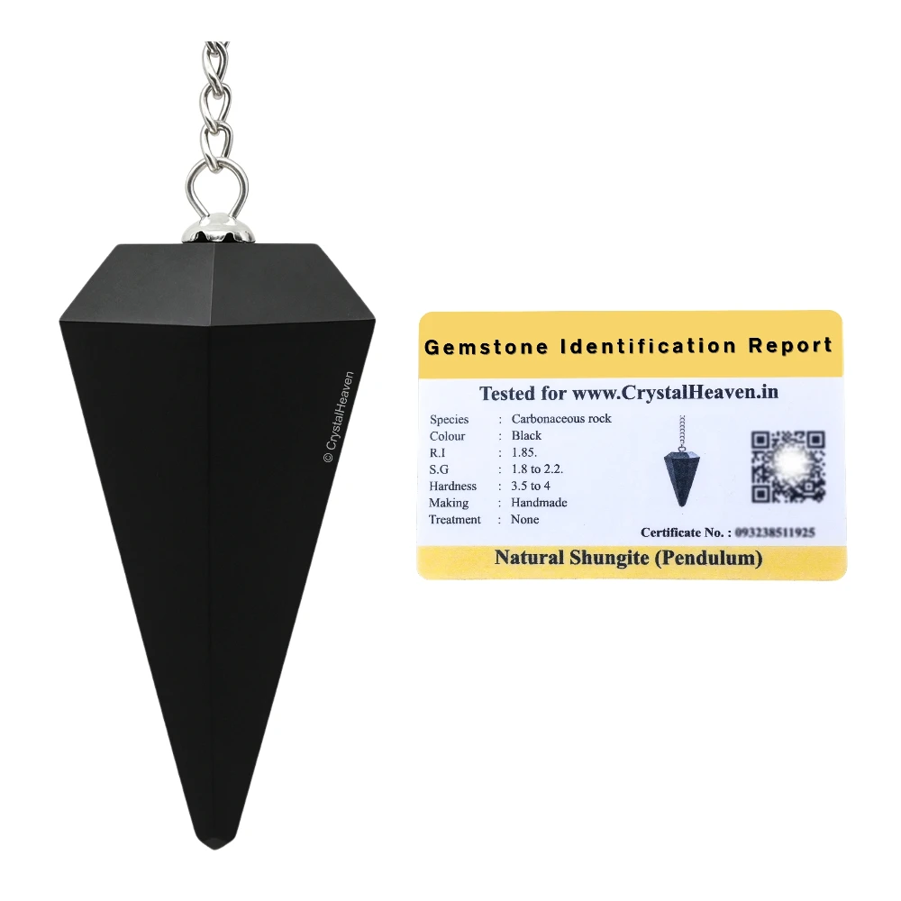 Shungite Pendulum