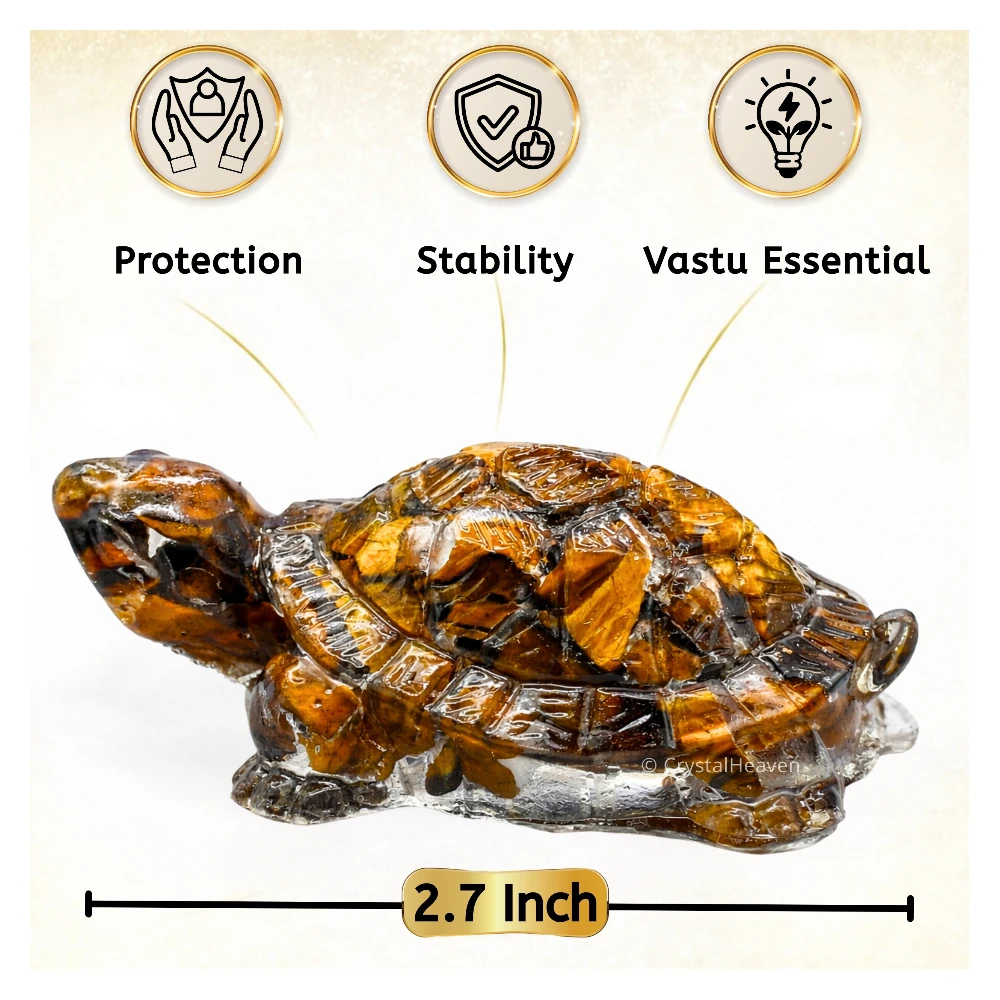 Tiger Eye Tortoise Kachhua