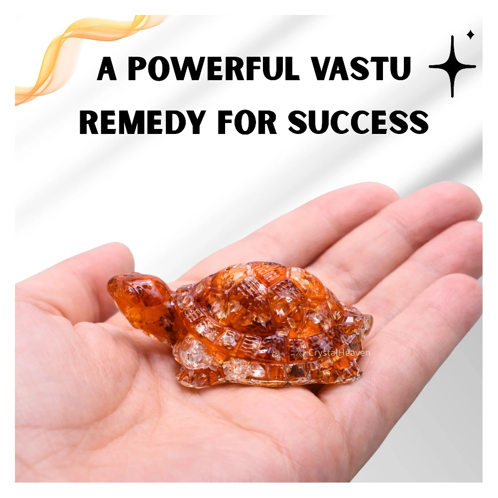 Carnelian Tortoise Kachhua