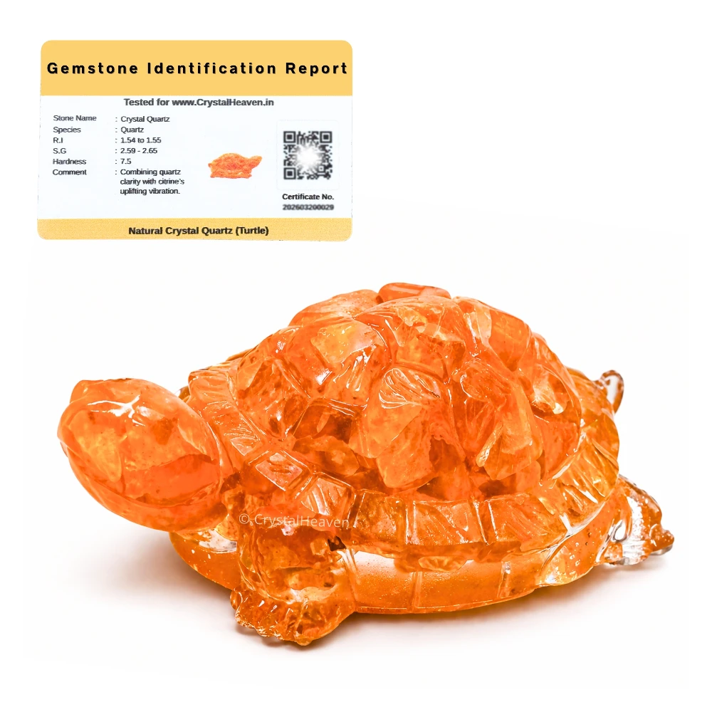 Citrine Onyx Tortoise Kachhua