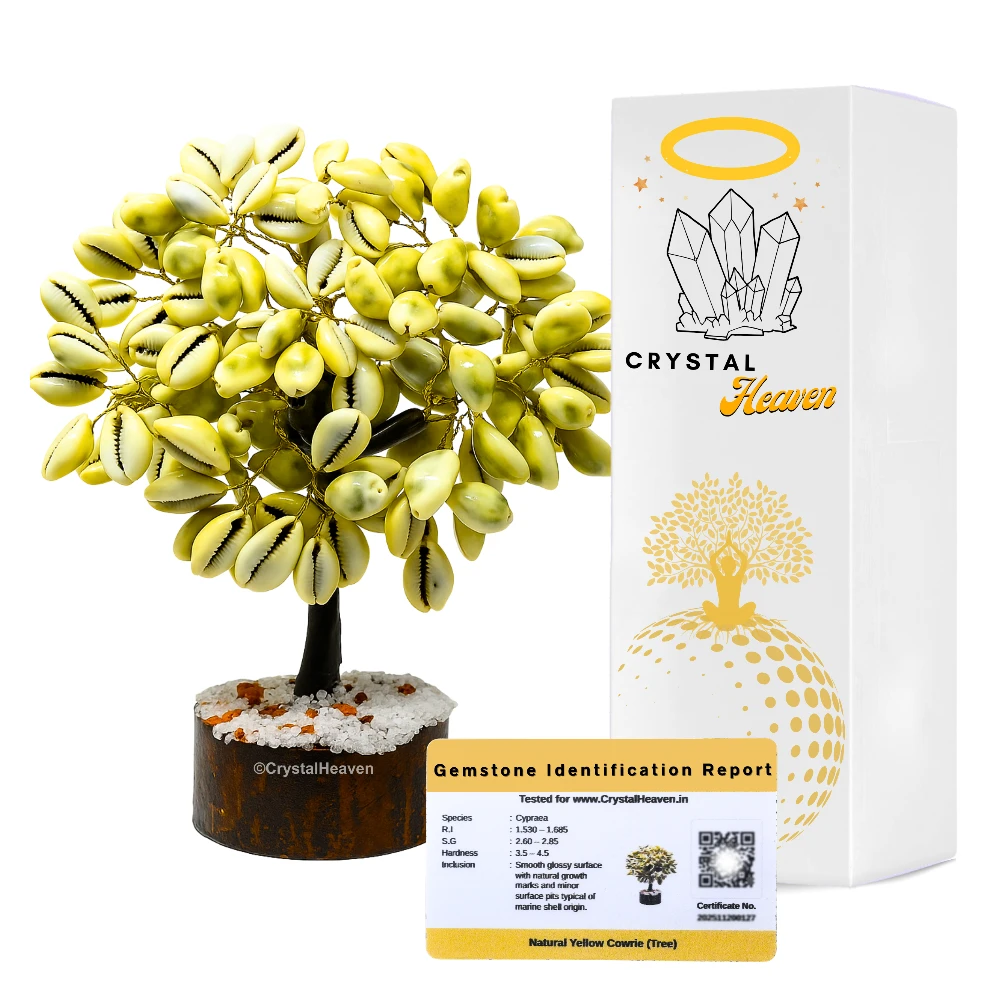Yellow Kodi Tree
