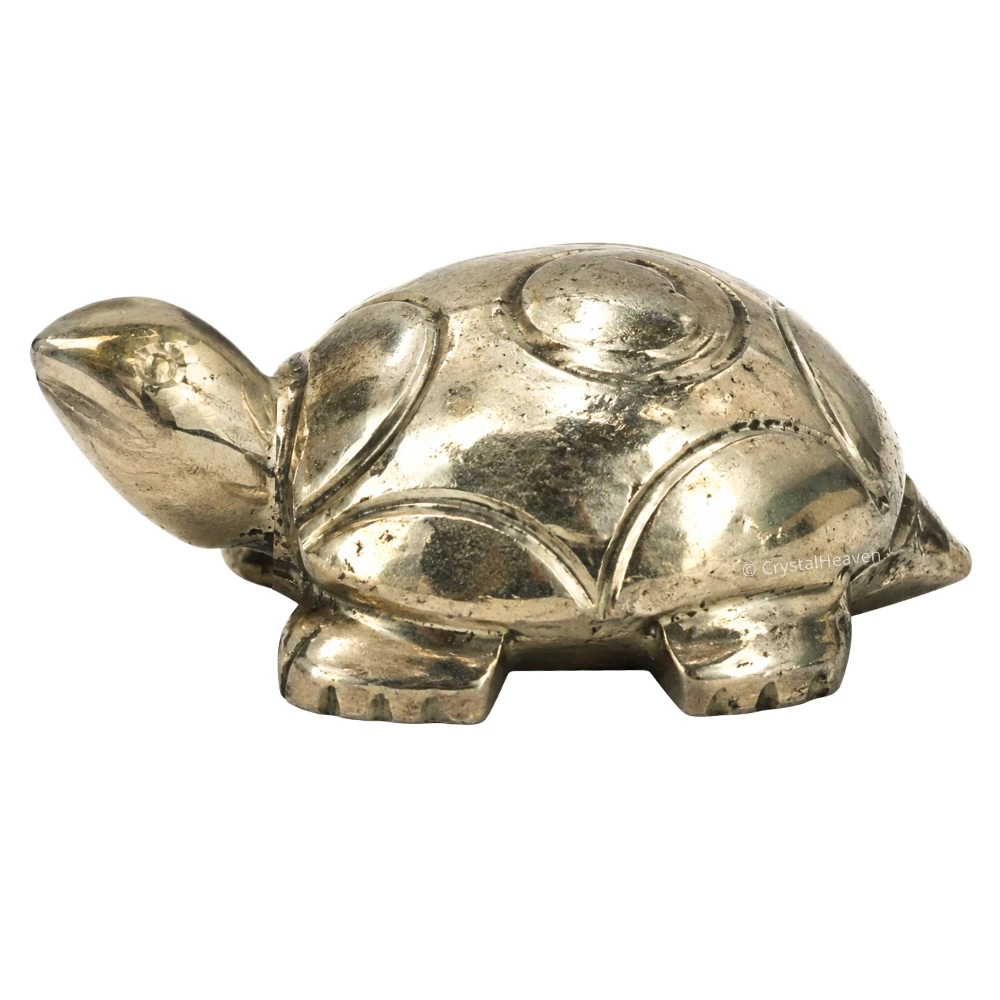 Pyrite Tortoise Kachhua