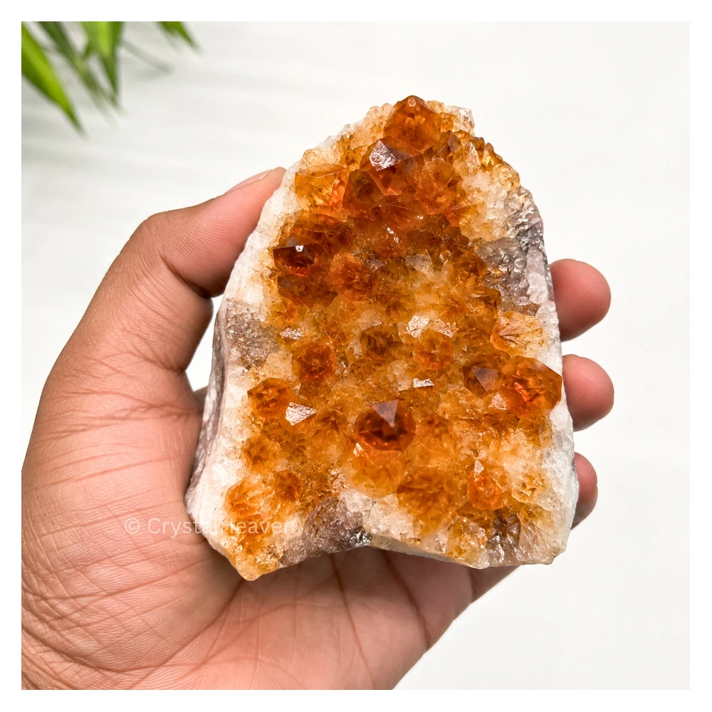 Natural Citrine Cluster Geode (50-100 Gram)