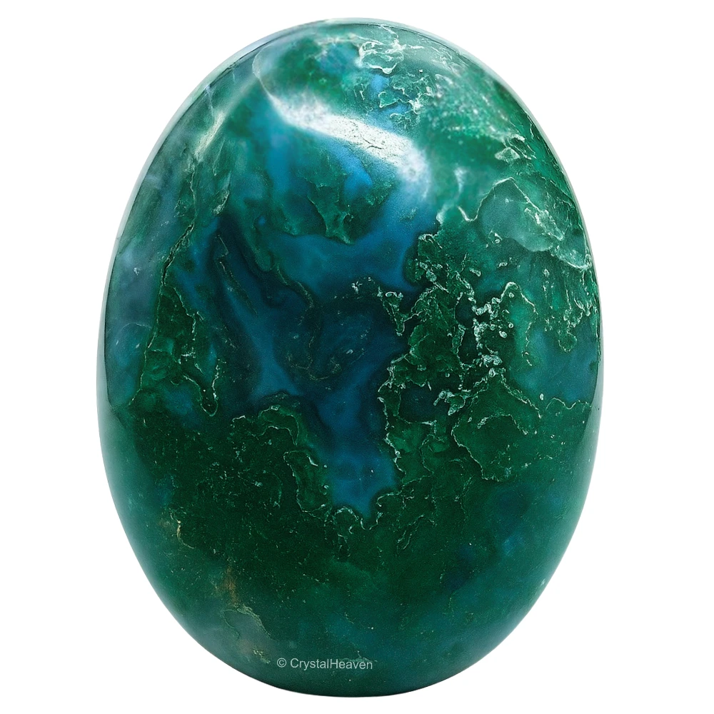 Moss Agate Palm Stone