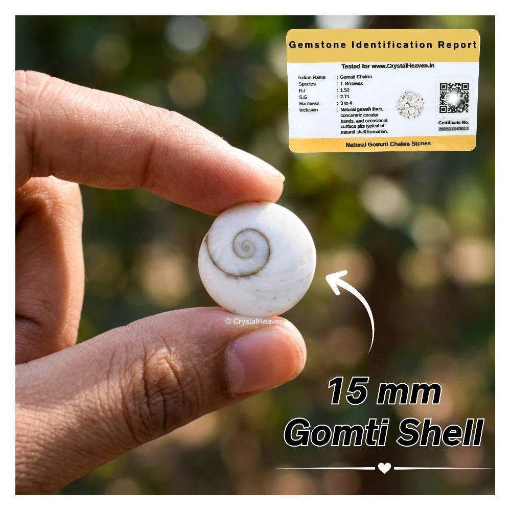 Gomati Chakra Beads (15mm, Set of 11)