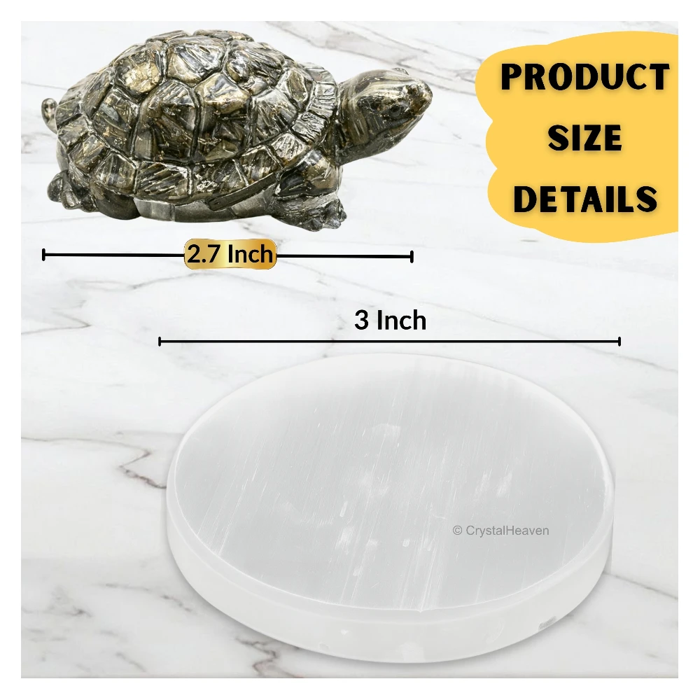 Pyrite Tortoise Kachhua with Selenite (Plate)