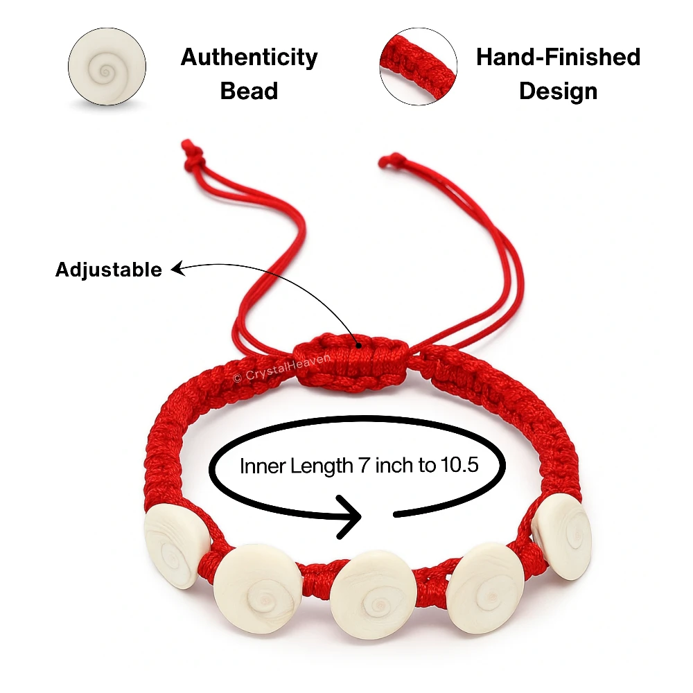 Gomti Chakra Bracelet (Adjustable)
