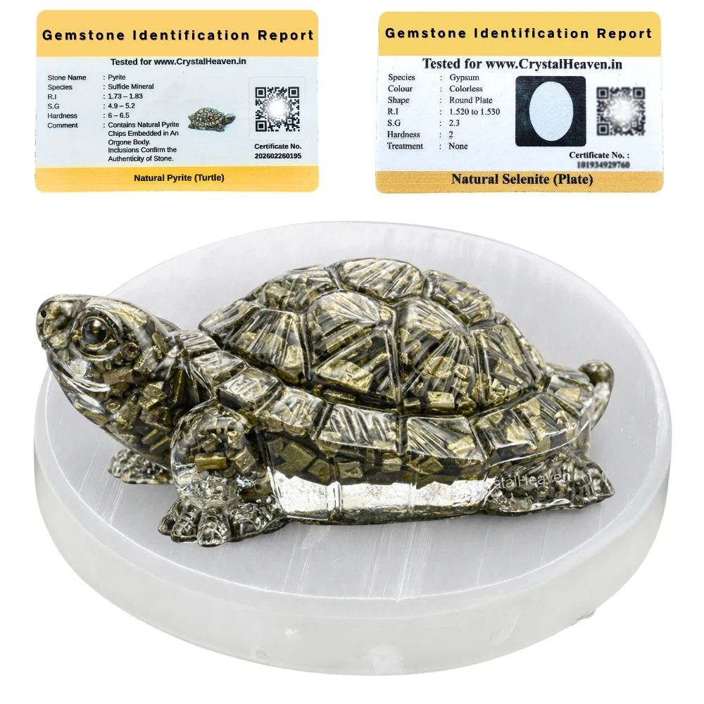 Pyrite Tortoise Kachhua with Selenite (Plate)