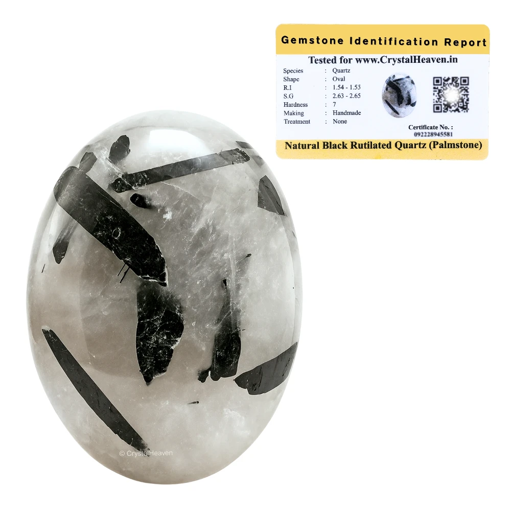 Black Rutilated Quartz Palm Stone