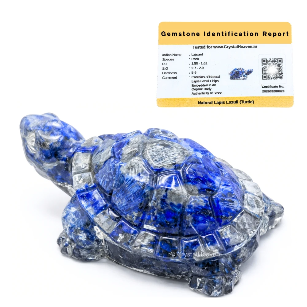 Lapis Lazuli Tortoise Kachhua