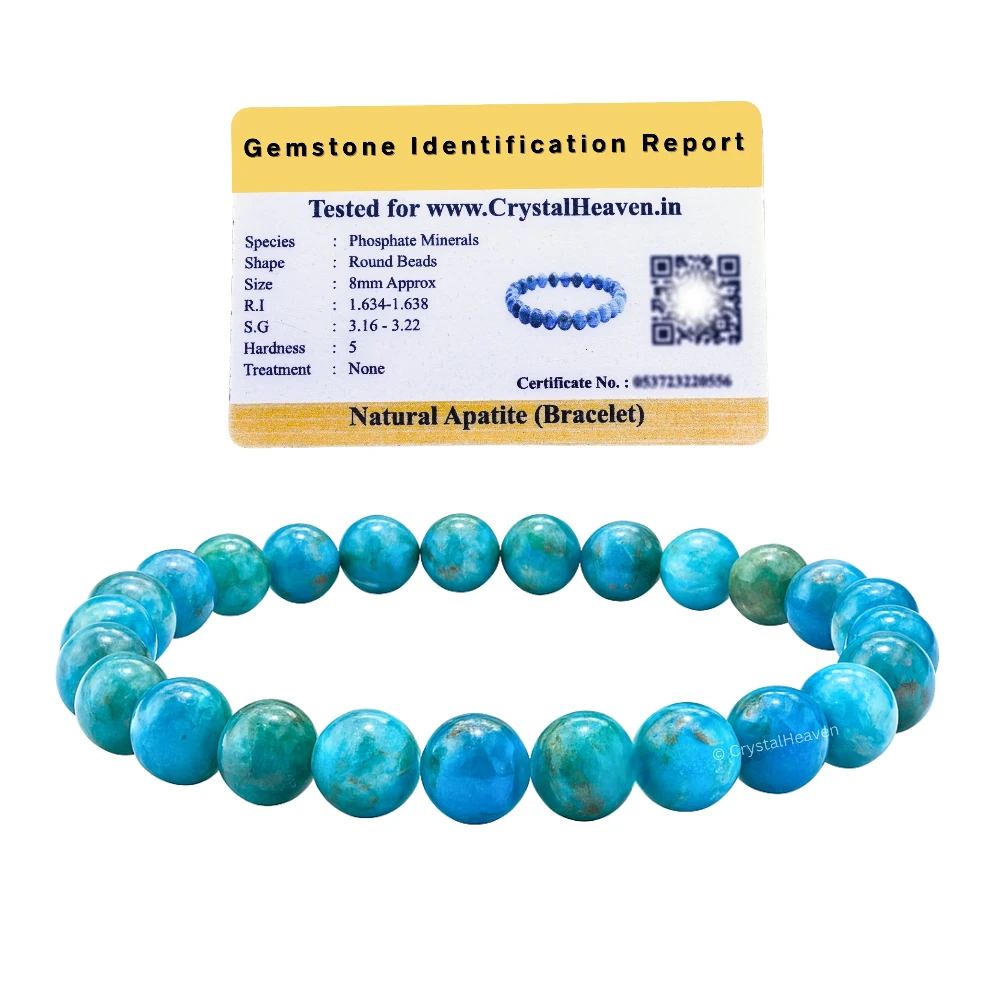 Apatite Bracelet (Elastic)