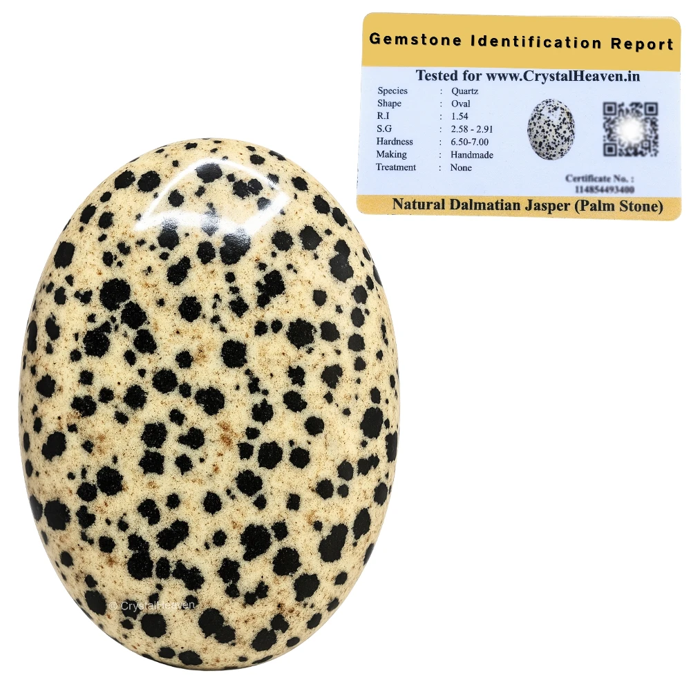 Dalmatian Jasper Palm Stone