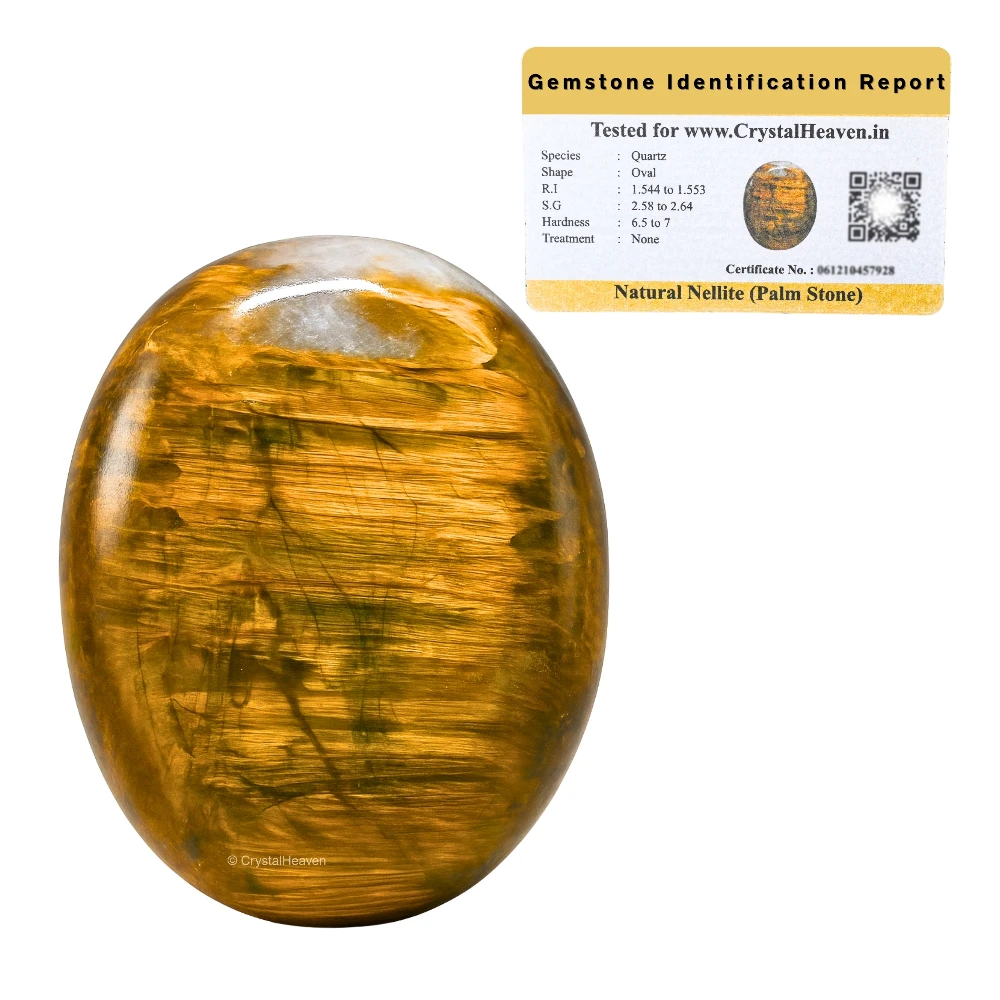 Nellite Palm Stone