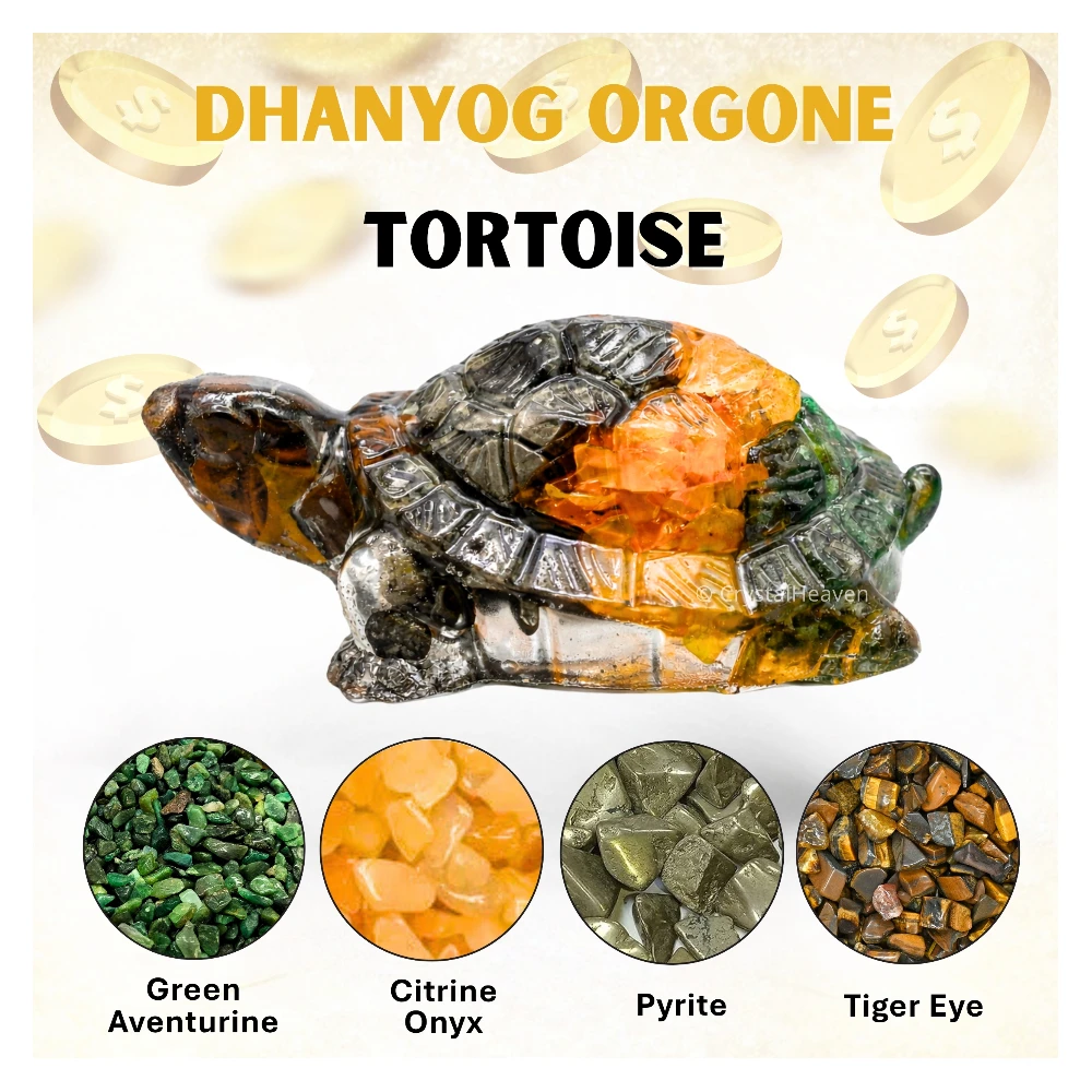 Dhanyog Tortoise Kachhua
