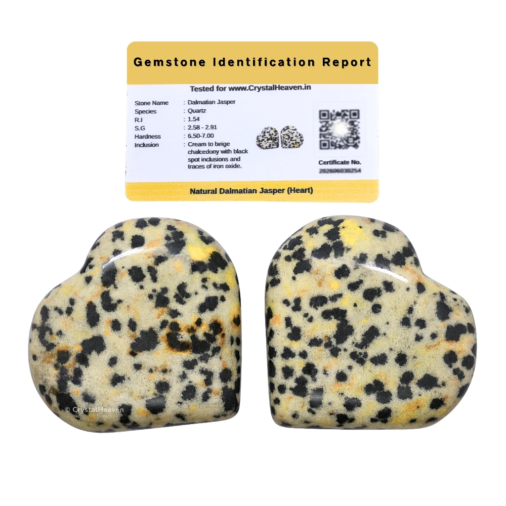 Dalmatian Jasper Mini Heart (Pack of 2)