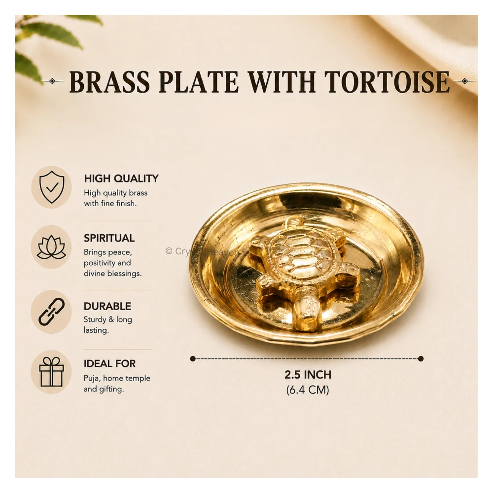 Tortoise with Plate Bass Idol Figurine (40 Gram, 2.5 inch)
