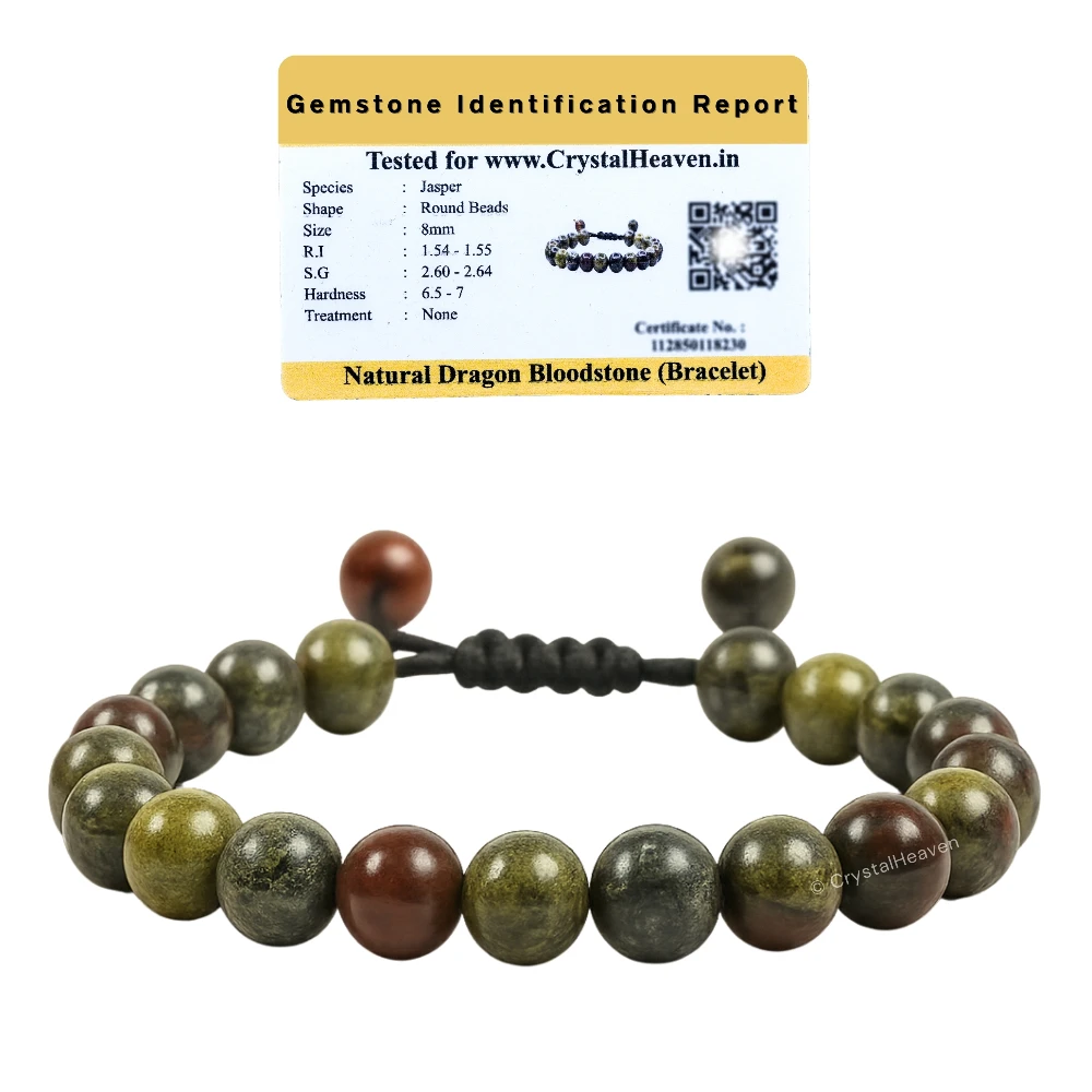 Dragon Bloodstone Bracelet (Adjustable)