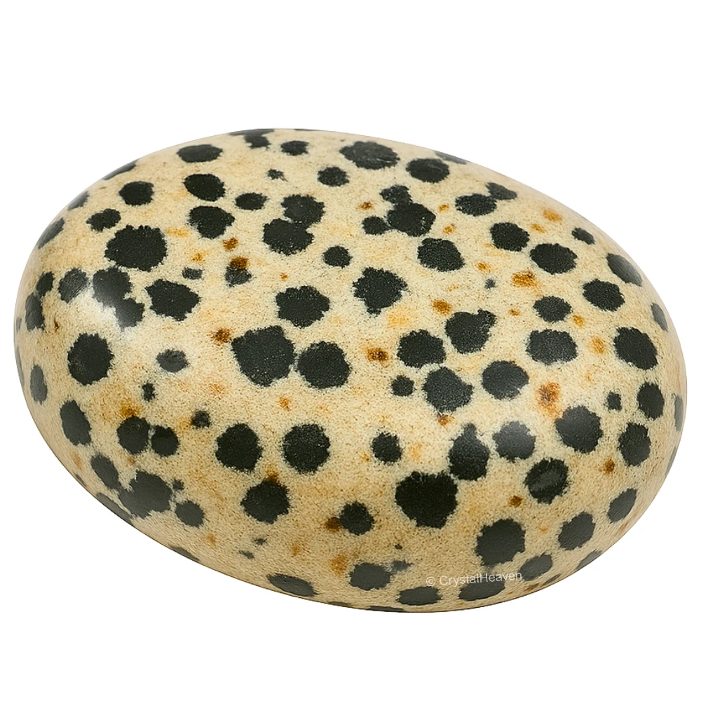Dalmatian Jasper Palm Stone