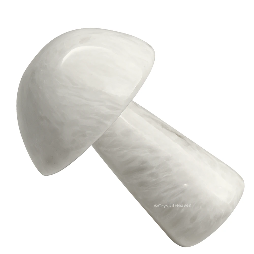 Scolecite Mushroom