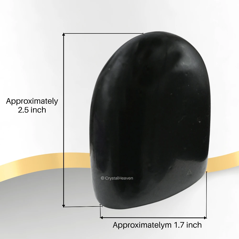 Black Tourmaline Standing Palm Stone (Large)