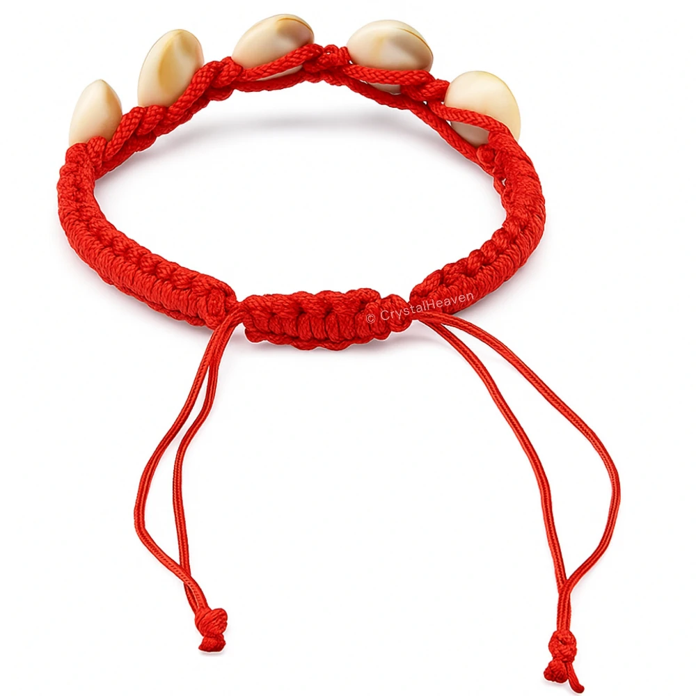 Gomti Chakra Bracelet (Adjustable)