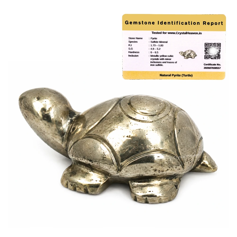 Pyrite Tortoise Kachhua