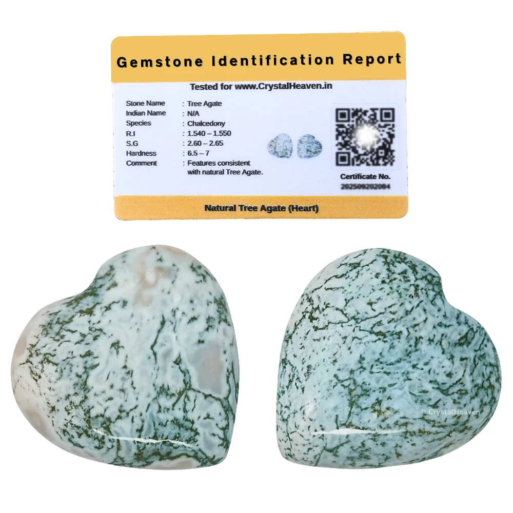 Tree Agate Mini Heart (Pack of 2)