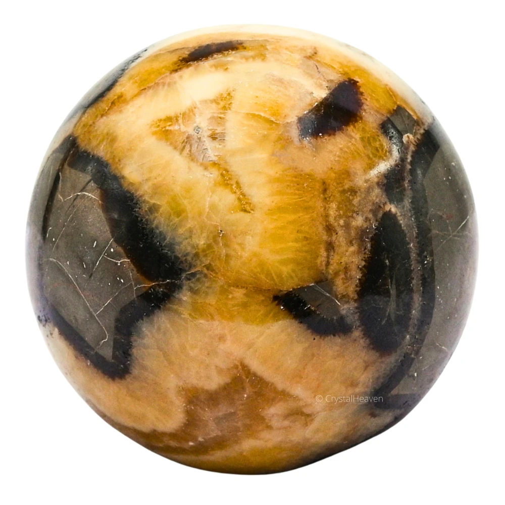 Large Septarian Sphere (3 Inch)