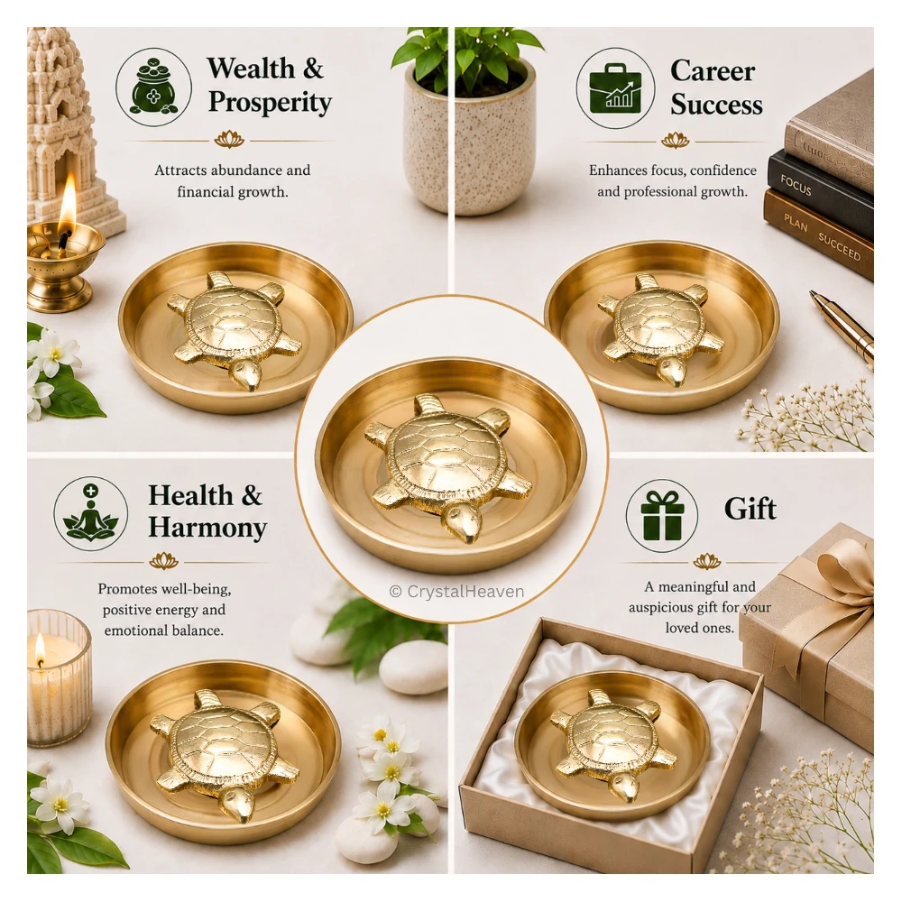 Premium Tortoise with Plate Bass Idol Figurine (80 Gram, 2.5 Inch)