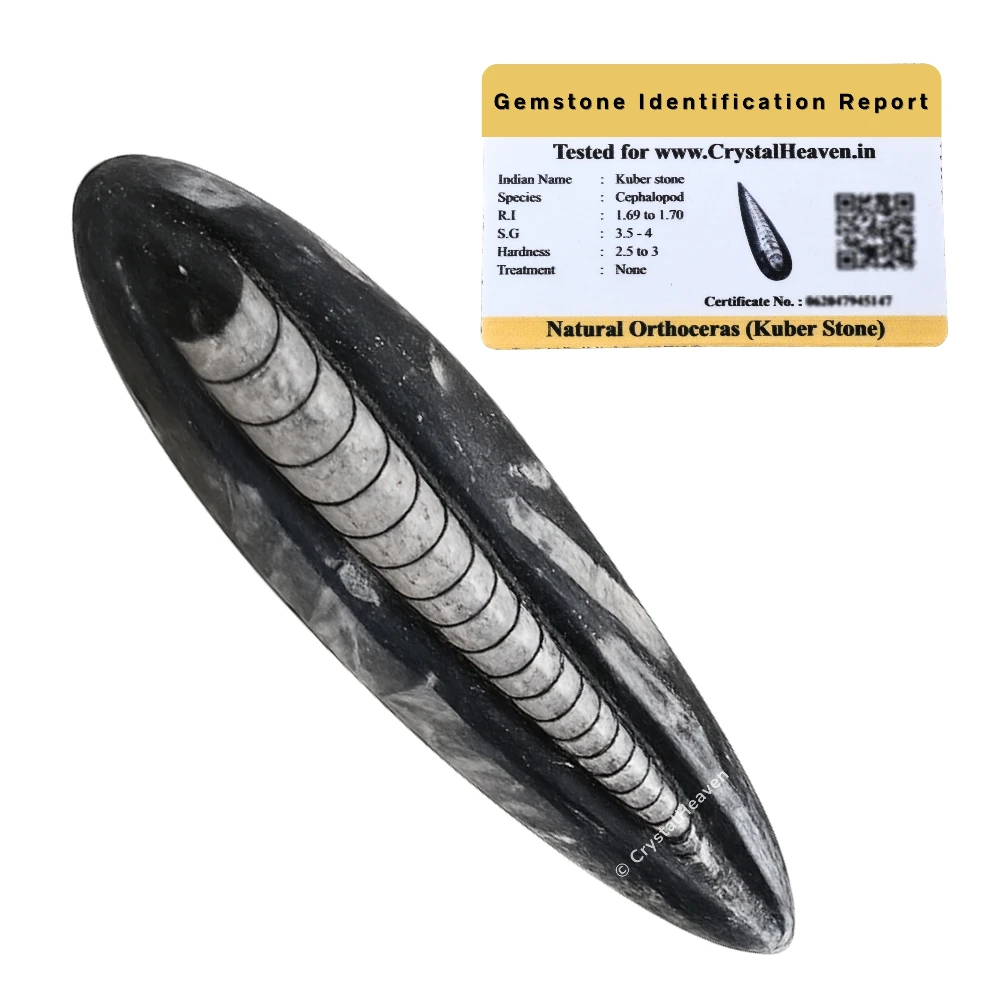 Kuber Stone To Heal Financial Issues (2-3 Inch)