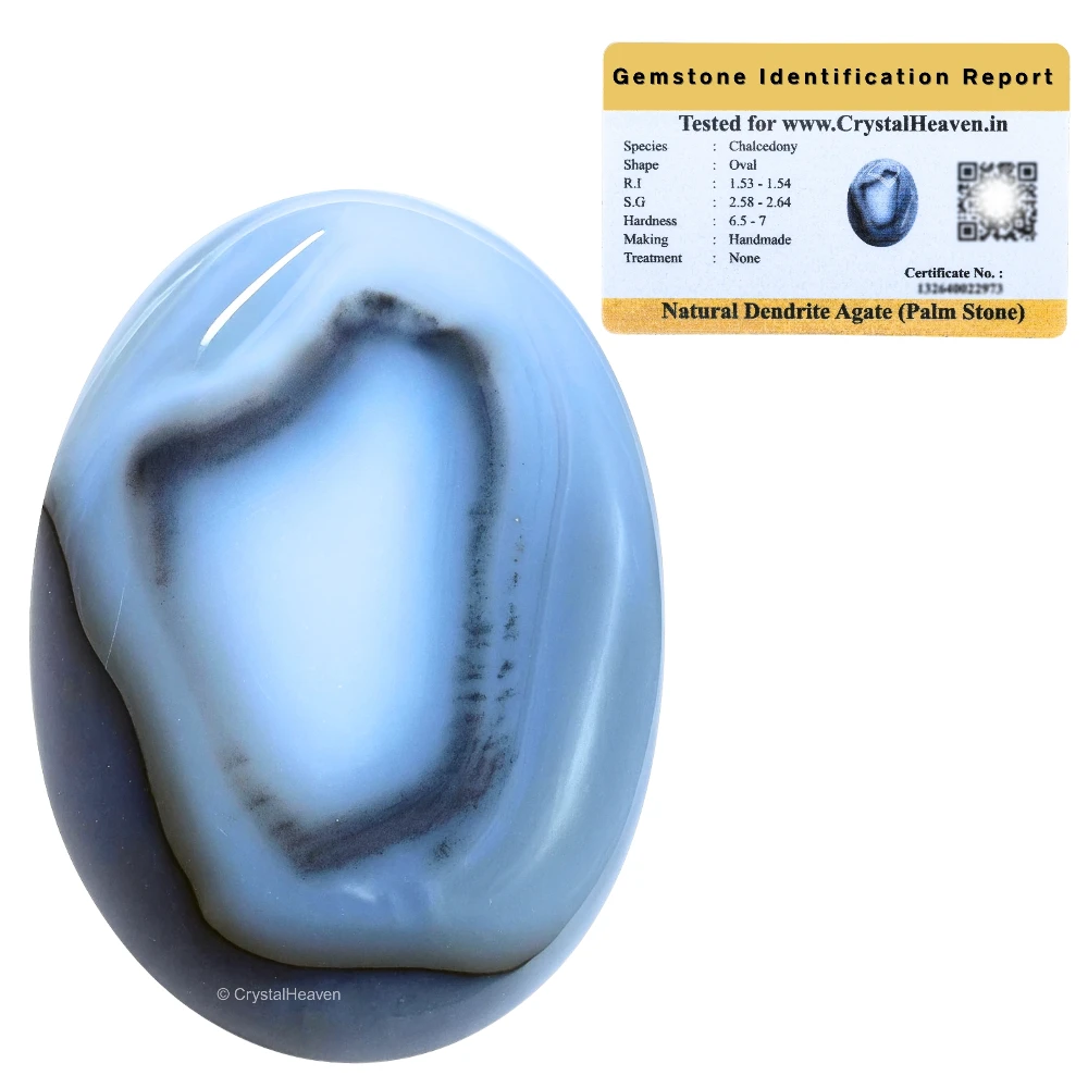 Dendrite Agate Palm Stone