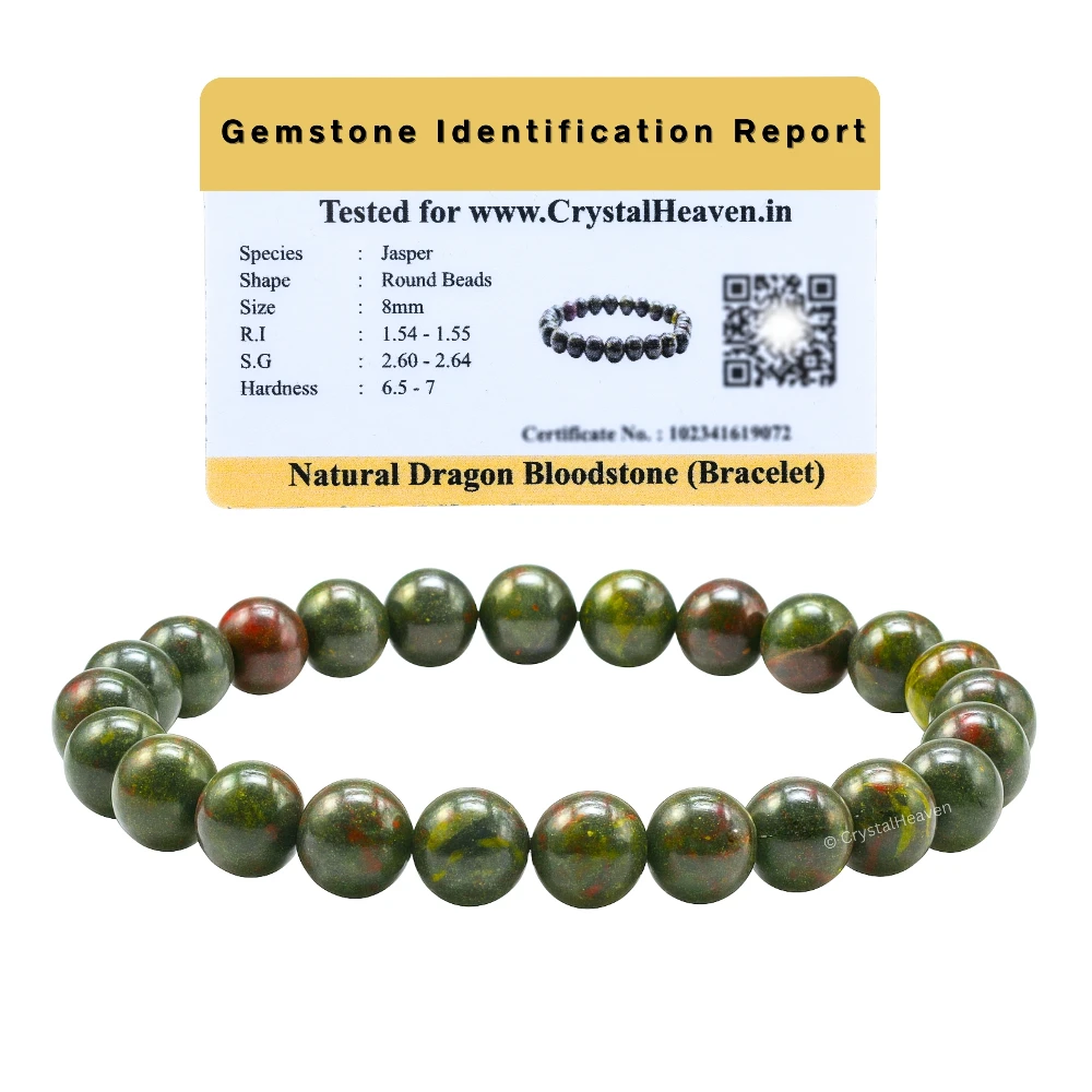 Dragon Bloodstone Bracelet (Elastic)