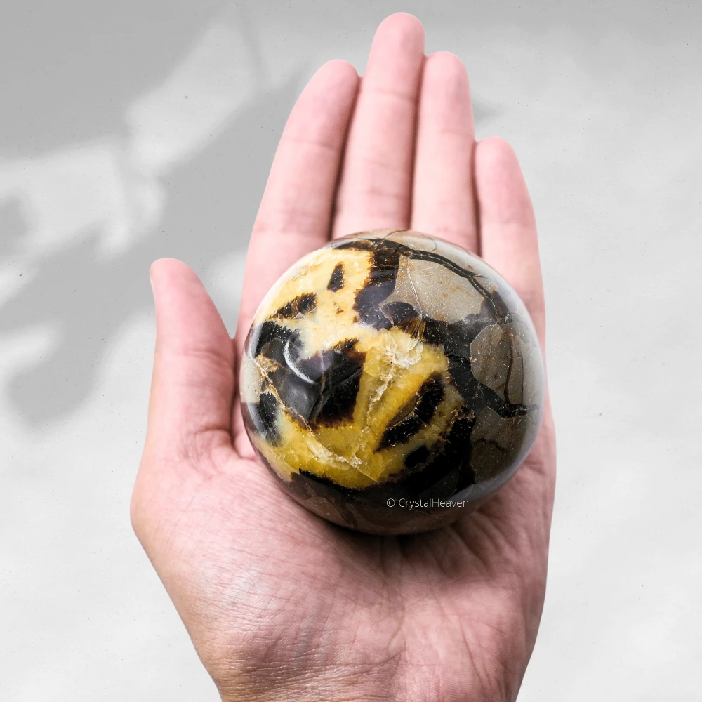Large Septarian Sphere (3 Inch)
