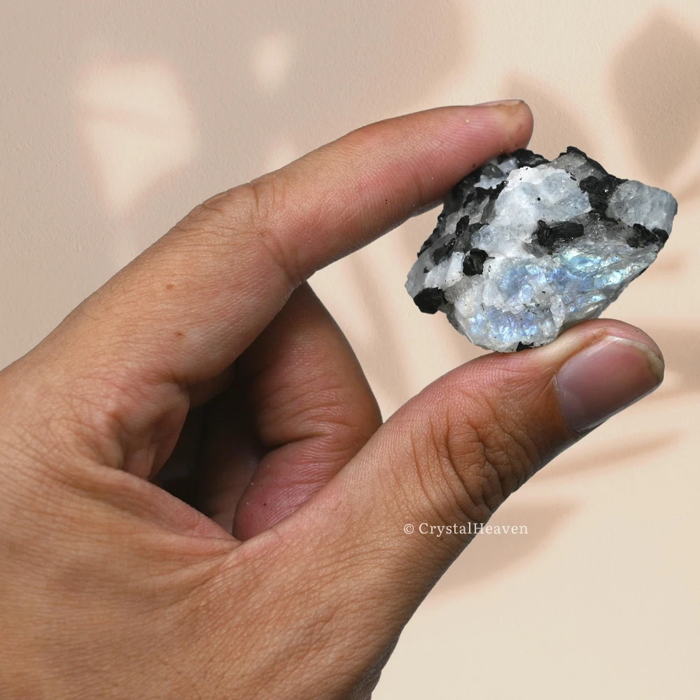 Raw Rainbow Moonstone Crystals (5 Pieces)