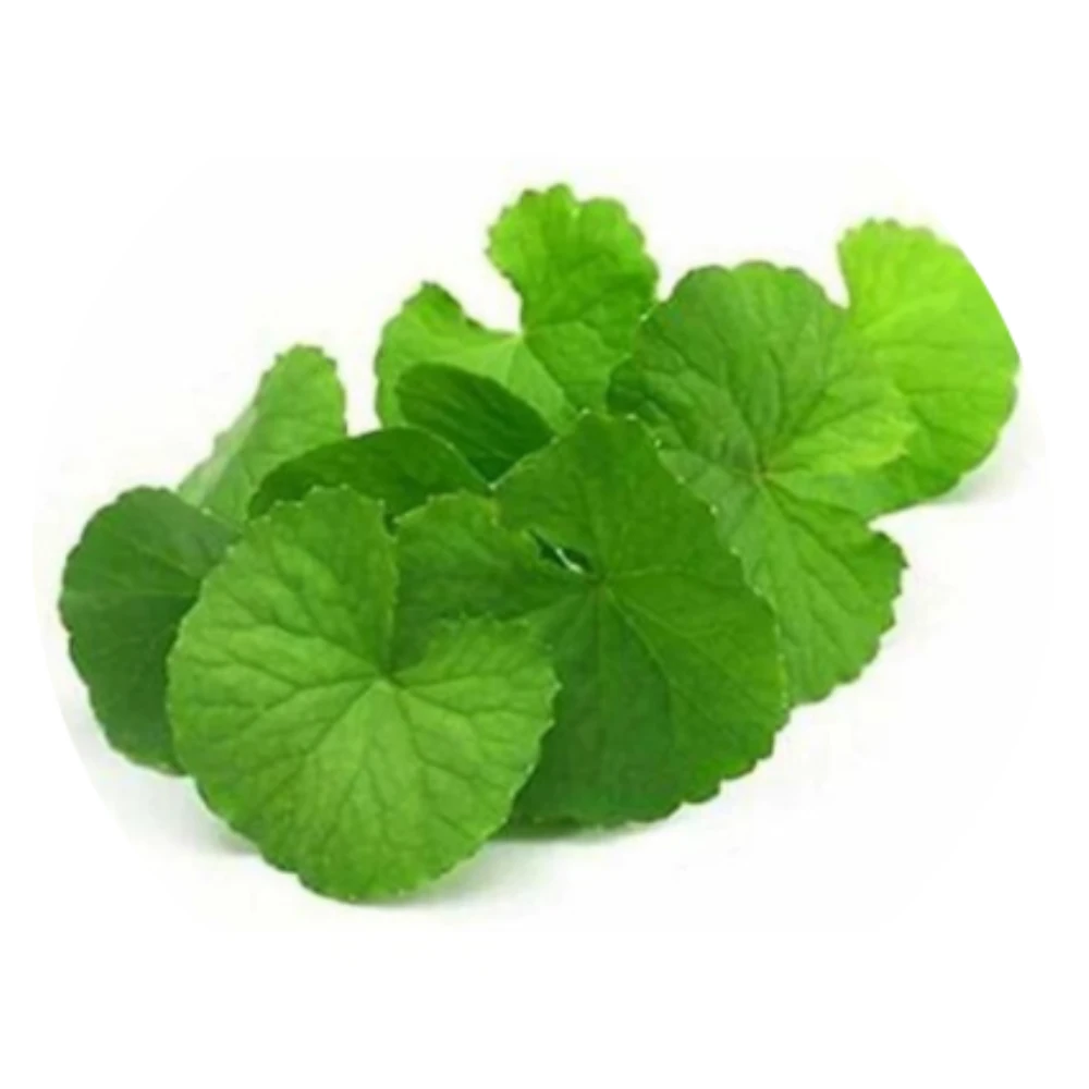 Brahmi Leaves