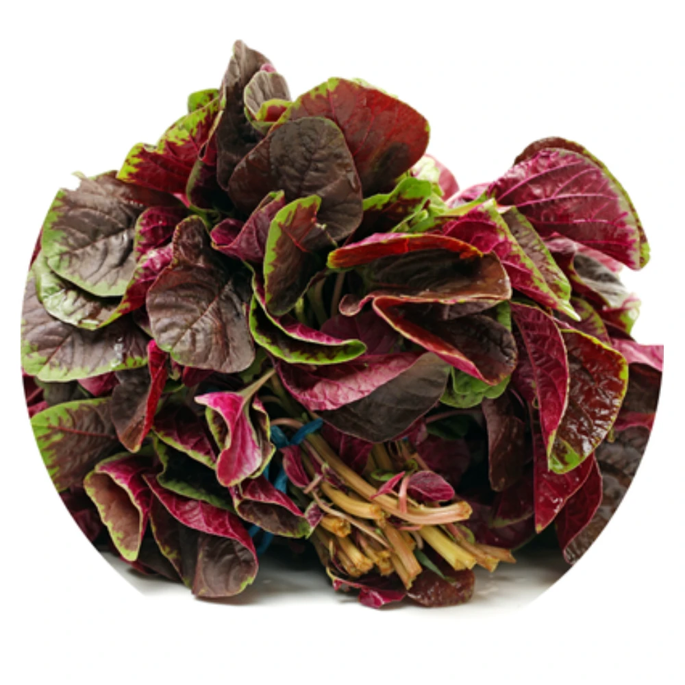 Amaranthus Red