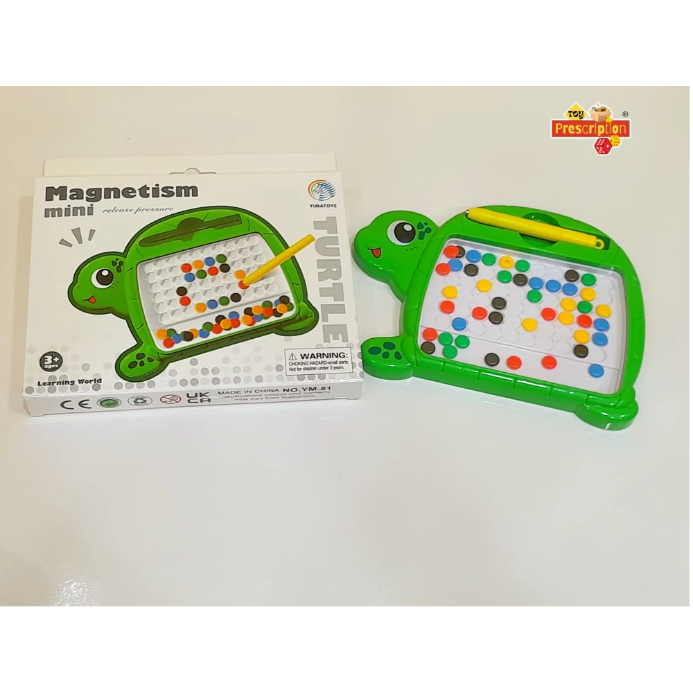 MAGNETISM MINI