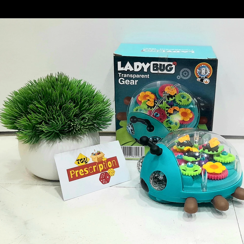 LADY BUG