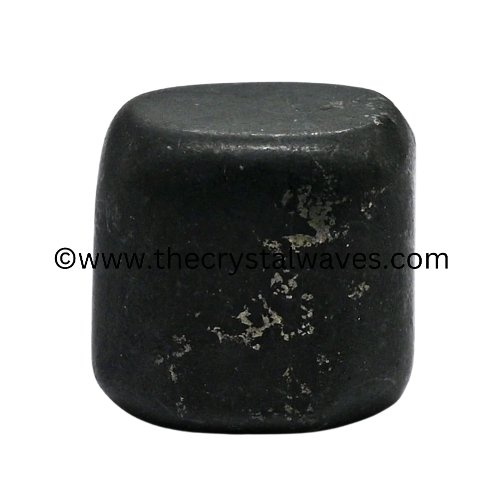 Shungite Tumbled Nuggets (Regular)