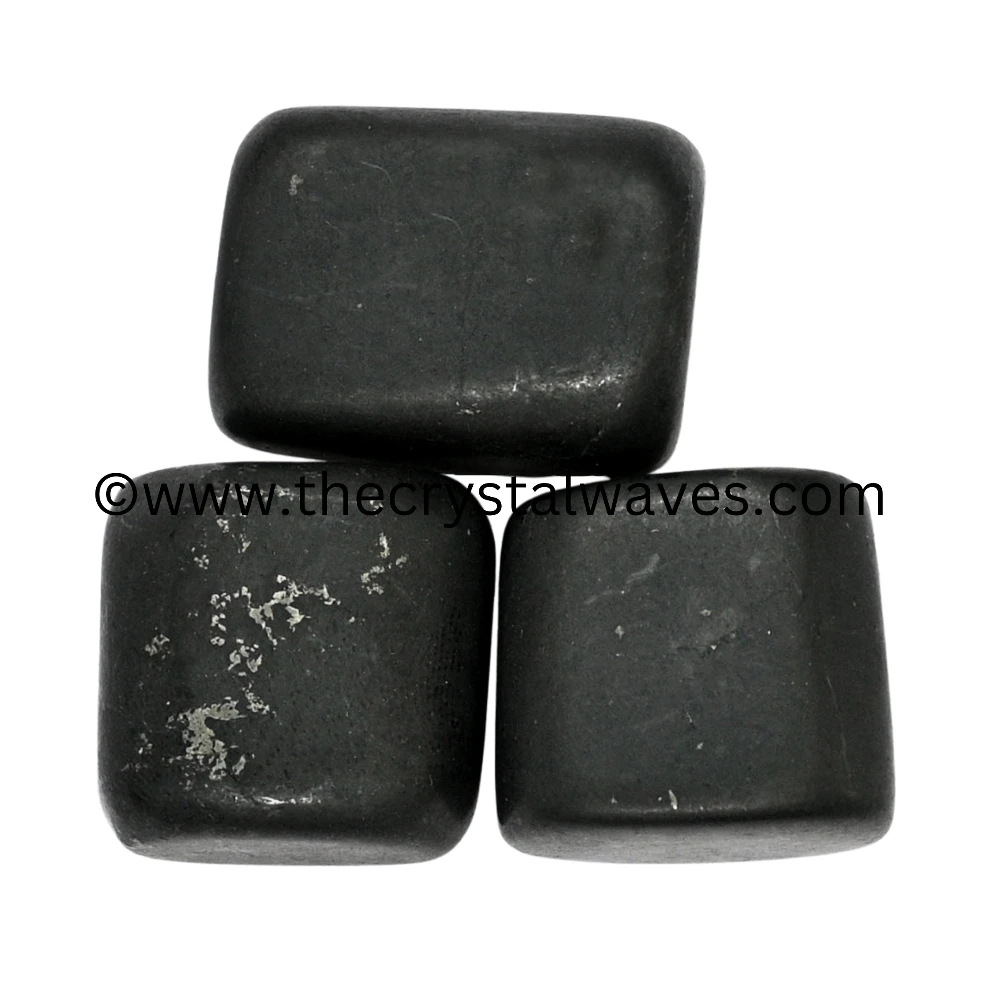Shungite Tumbled Nuggets (Regular)