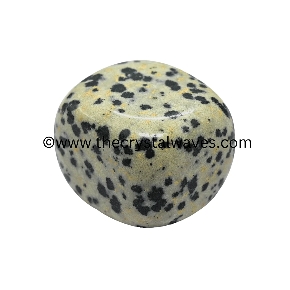 Dalmation Jasper Tumbled Nuggets (Regular)