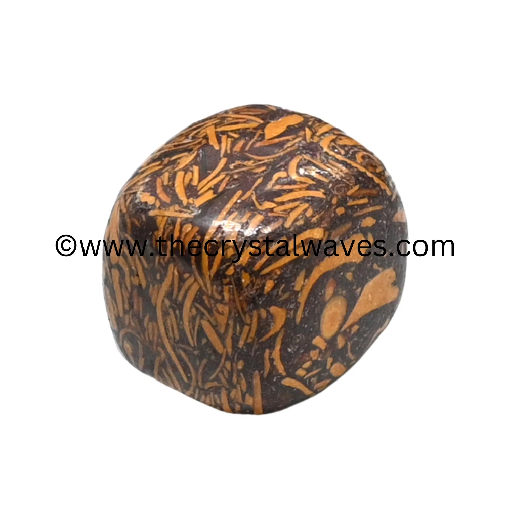 Mariyam Jasper Tumbled Nuggets