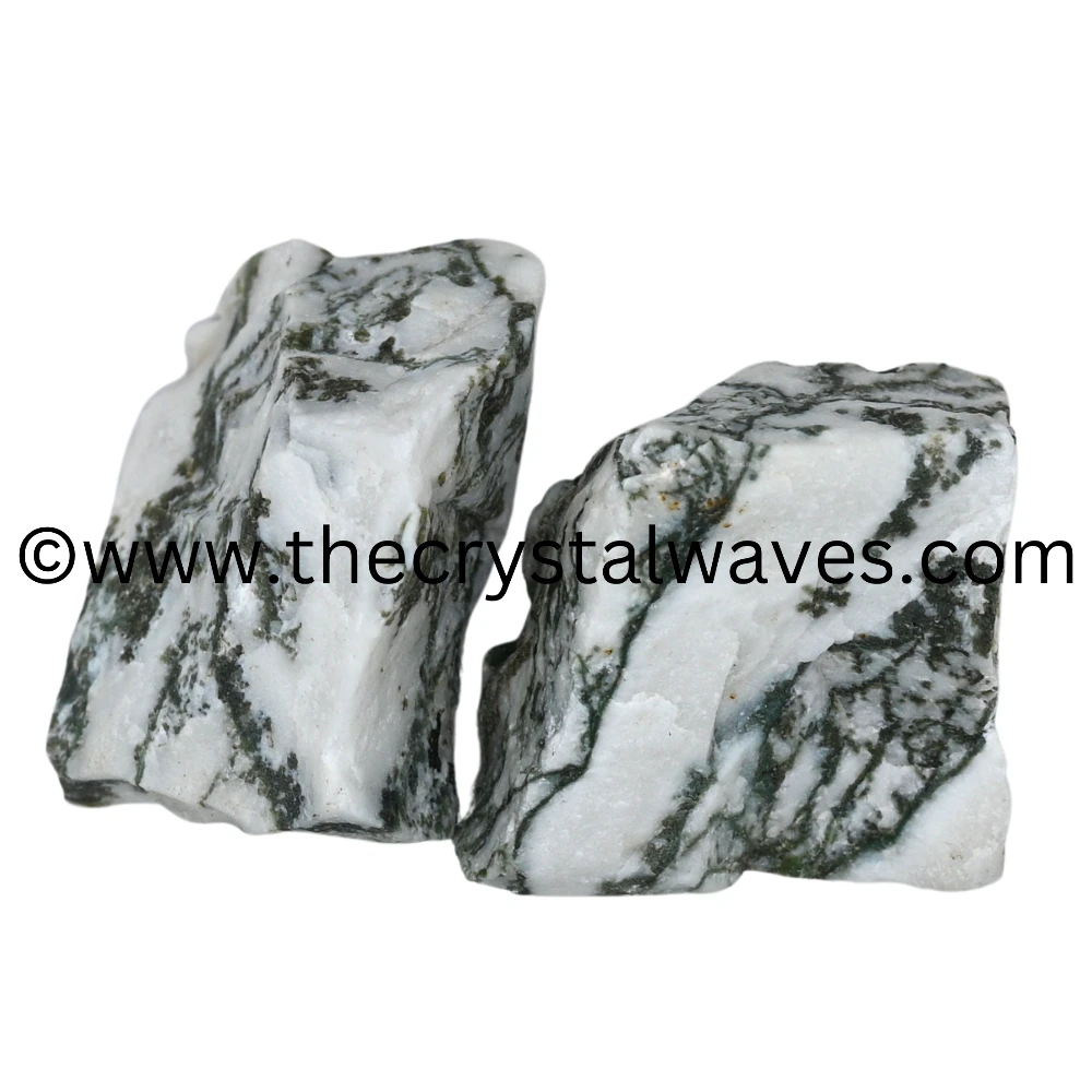 Tree Agate Raw Stones