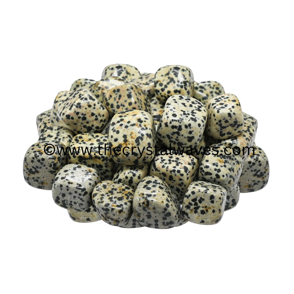 Dalmation Jasper Tumbled Nuggets (Regular)