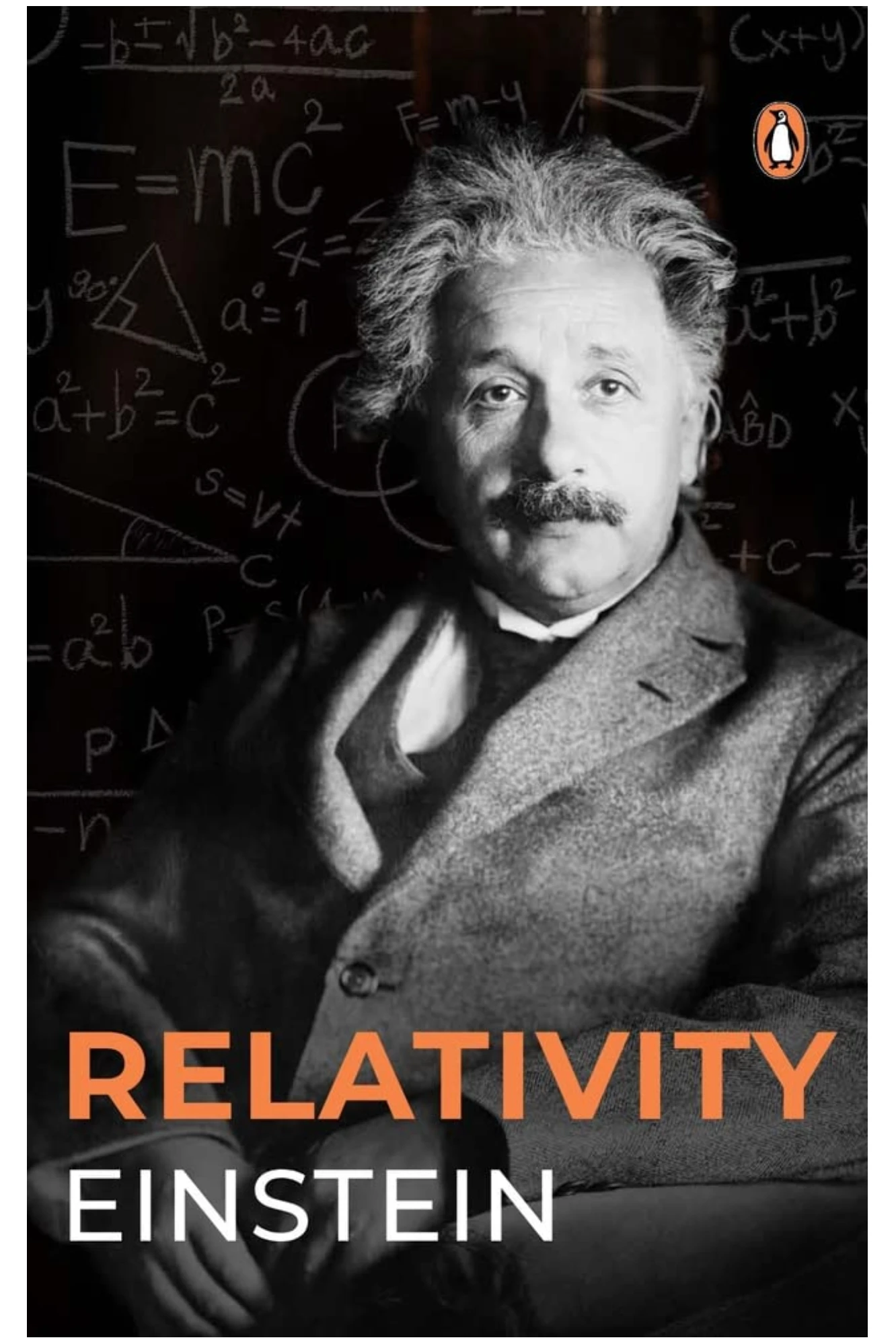 Relativity Einstein | Penguin India