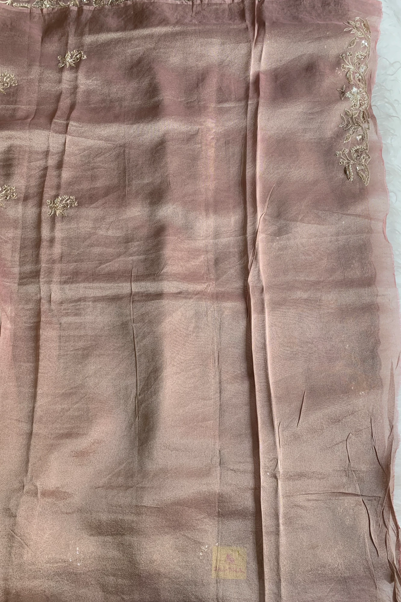 Beige Aari Thari Embellished Tissue Saree 5760 01